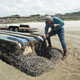 Japanese vessel washed ashore in Longbeach, Washington. Image: Russ Lewis